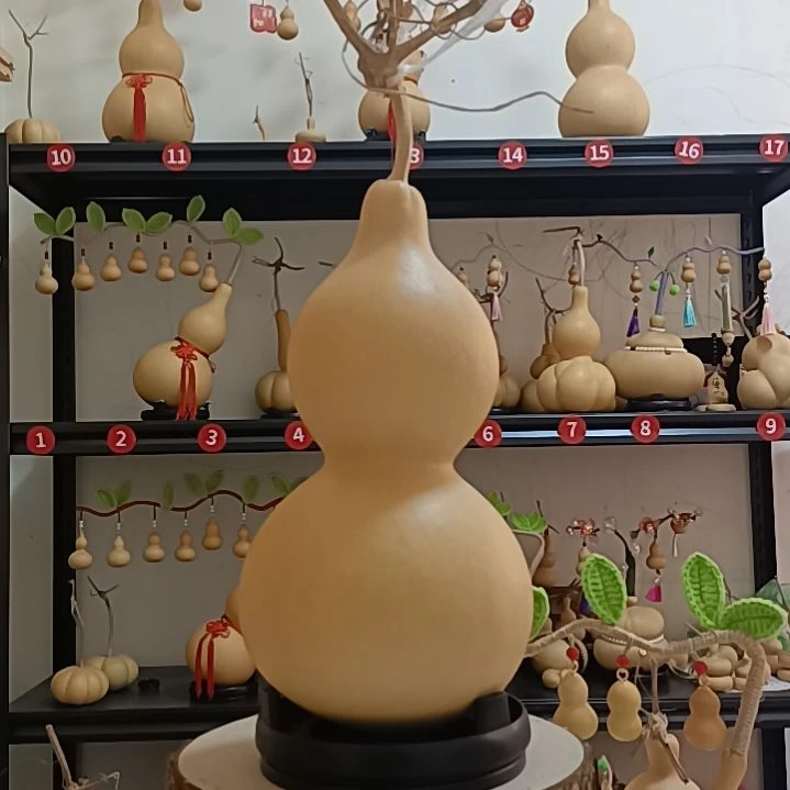 中号葫芦直播间链接