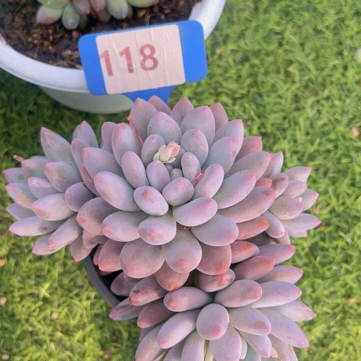 健健康康平平安安