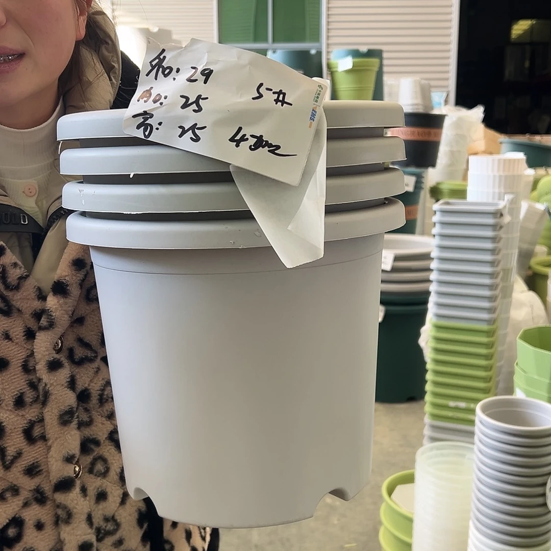 四季盆5#灰白6个无托