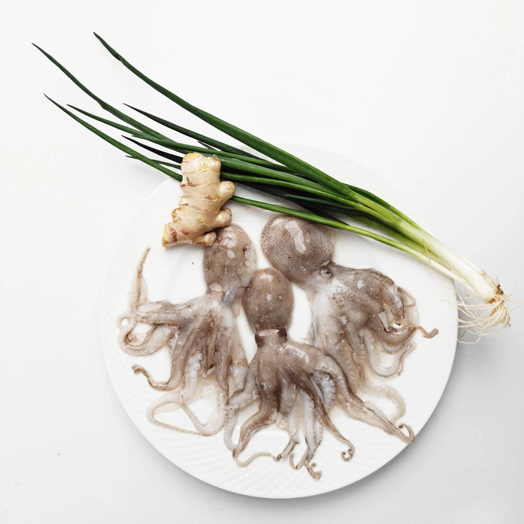 吕四海鲜 深海捕捞野生八爪鱼（章鱼）速冻锁鲜发货