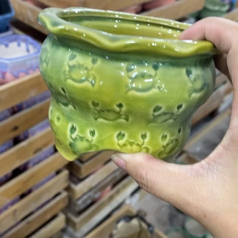胡巴绿色31331313131