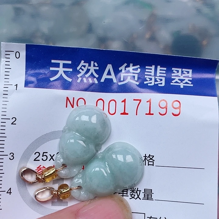 翡翠未镶嵌吊坠(赠链)
