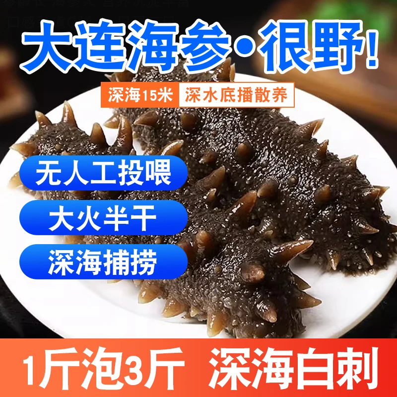 10斤大连辽刺参深海拉缸盐海参[32-38头左右/500g]顺丰包邮