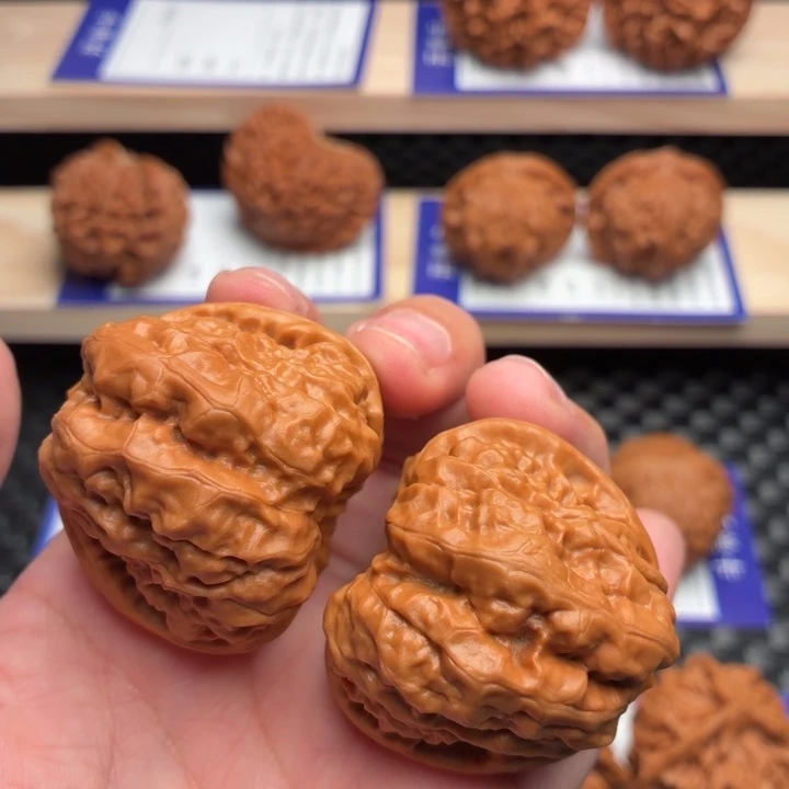 核桃18号蛤蟆头40边43肚