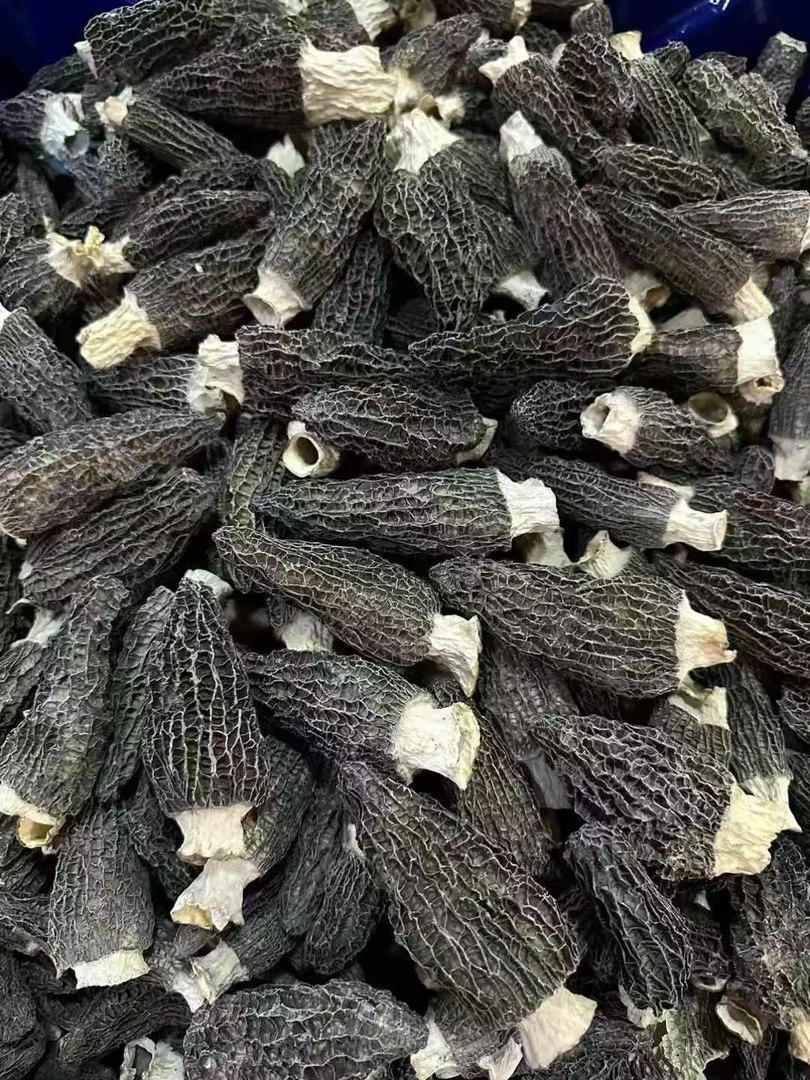 精挑好货羊肚菌250克