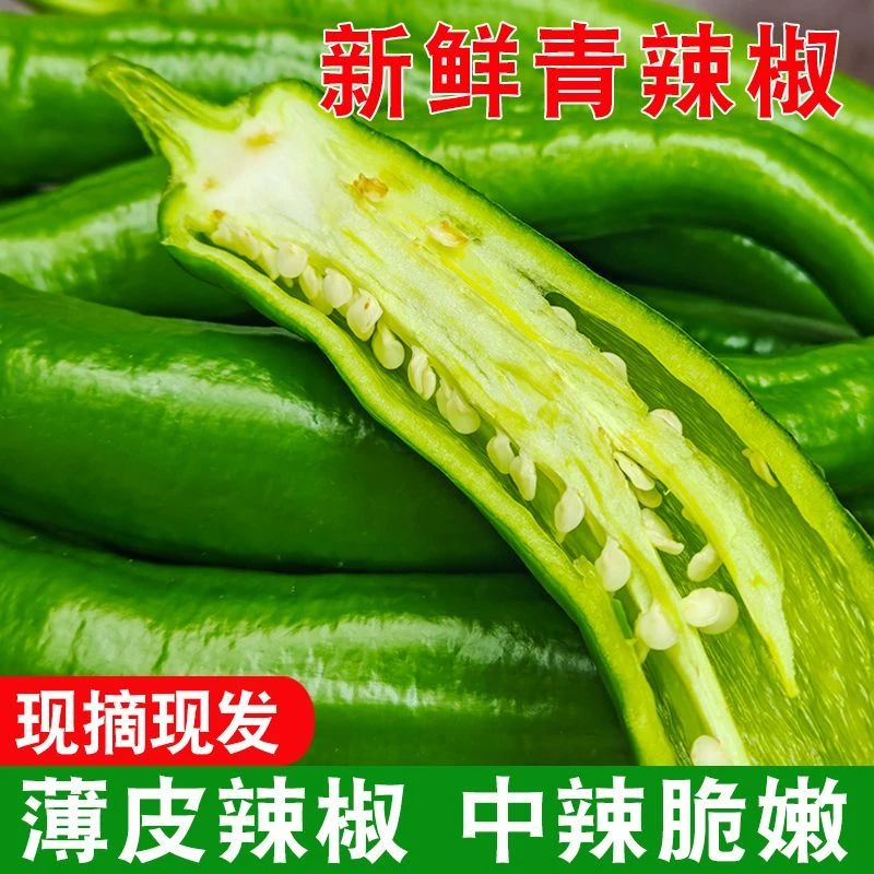 【香辣中辣】牛角青椒辣椒土辣椒羊角椒虎皮青椒辣椒买菜皮薄
