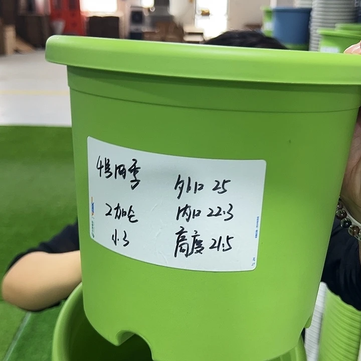 特价4号四季口25高21.5果绿无托8只