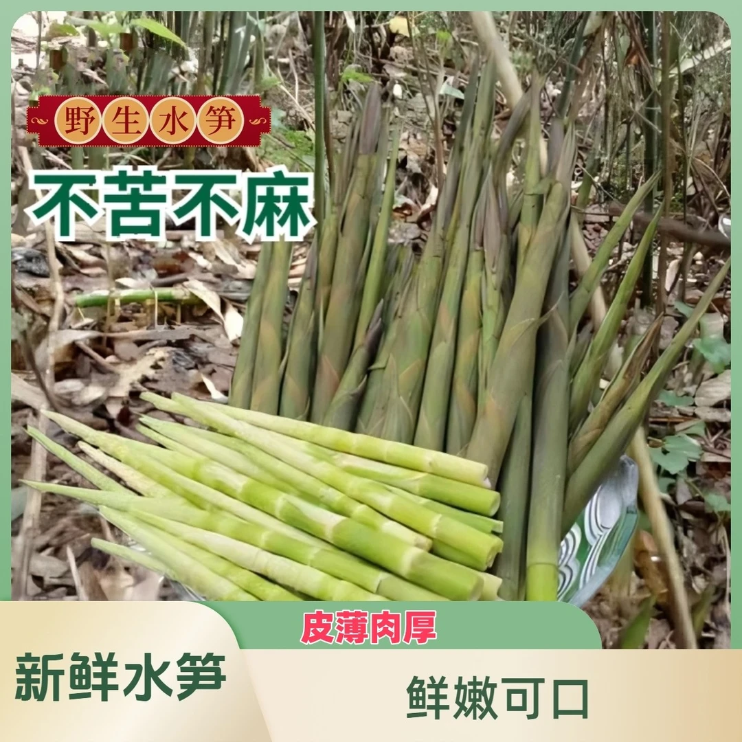 新鲜野生雷笋春笋金竹笋甜竹笋水竹笋苦竹笋带壳去壳都有包邮