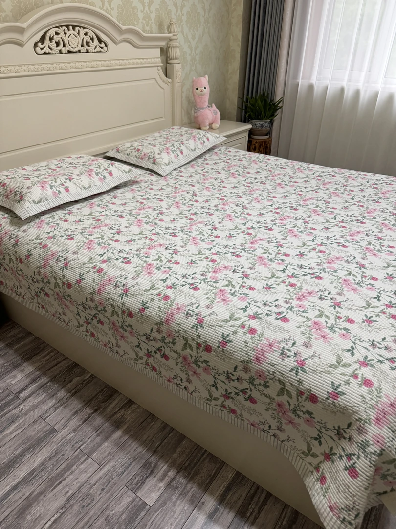 韩系纯棉床盖三件套(尺寸约2米2✖️2米4)