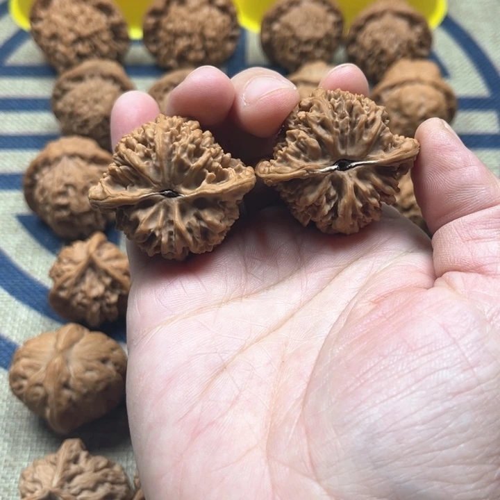 核桃把件用****7满天星