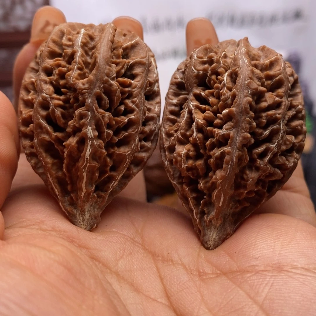 文玩核桃把件核桃55