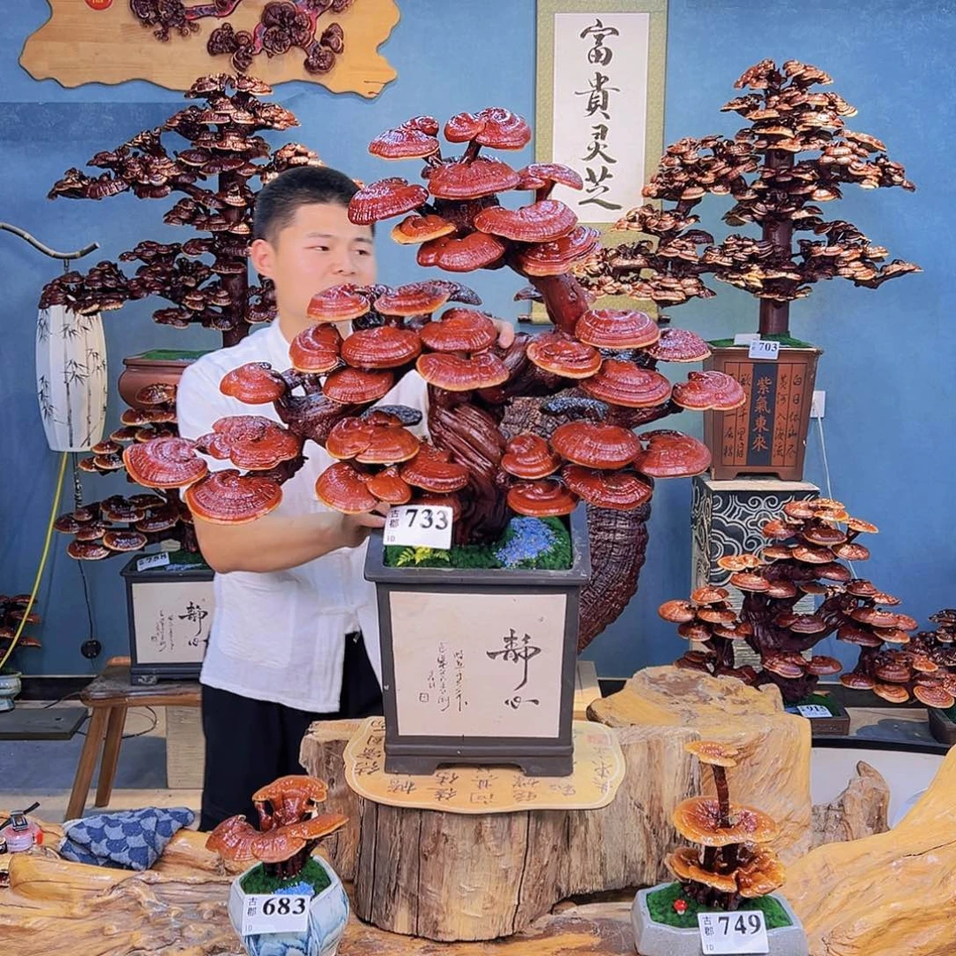 无花朵8888888888888888888
