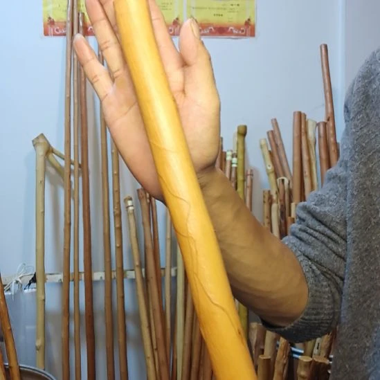 明***风秦岭石山红荀子，牛筋木