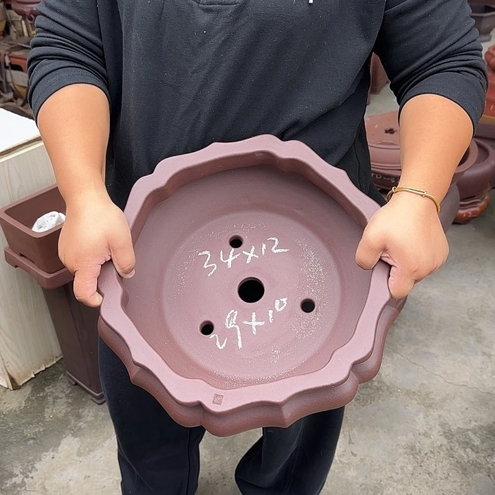花盆紫砂这是我的