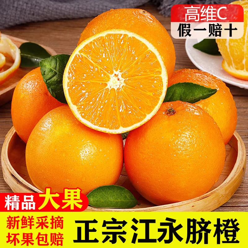 现摘新鲜橙子酸甜脐橙果冻橙新鲜水果香甜可口桔子水爆汁赣南大果