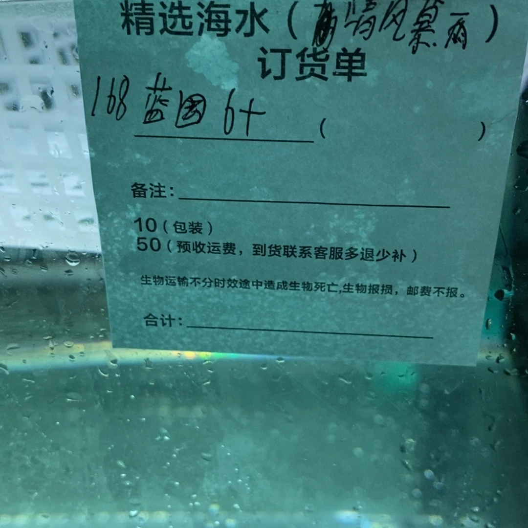 海水鱼六加蓝圈活动一个