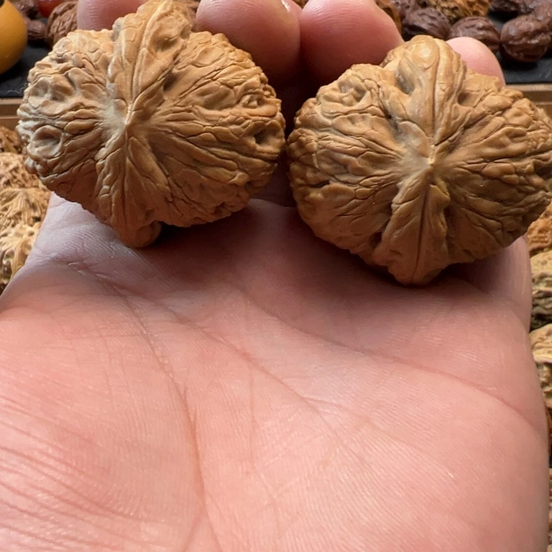 猴头核桃把件文玩核桃，粗筋元宝