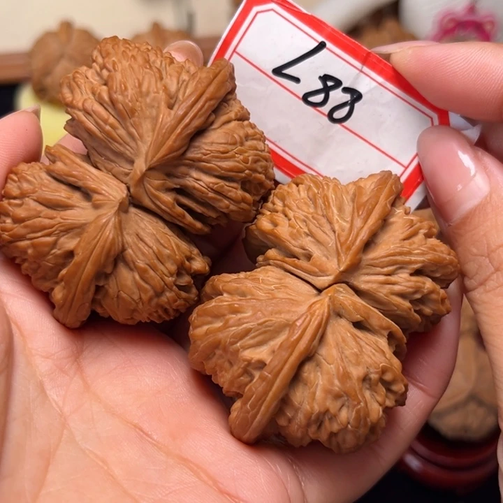 吊坠文玩核桃59毕业大尺全品白狮子连体88