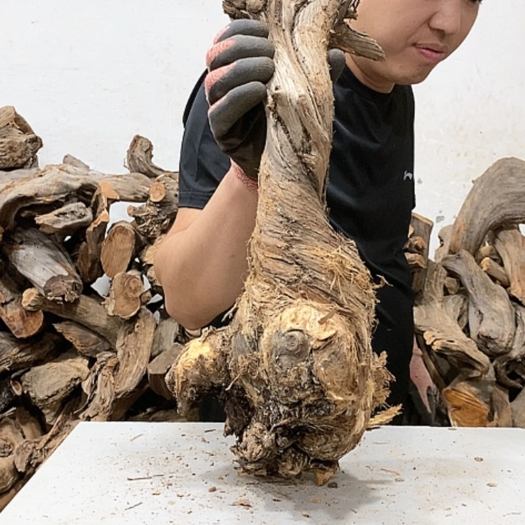 【闪购商品】柏木江*我们都是好孩子
