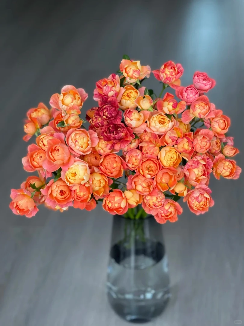 【狂欢果汁】多头玫瑰（全场同一地址两单顺丰冷链包邮噢~）