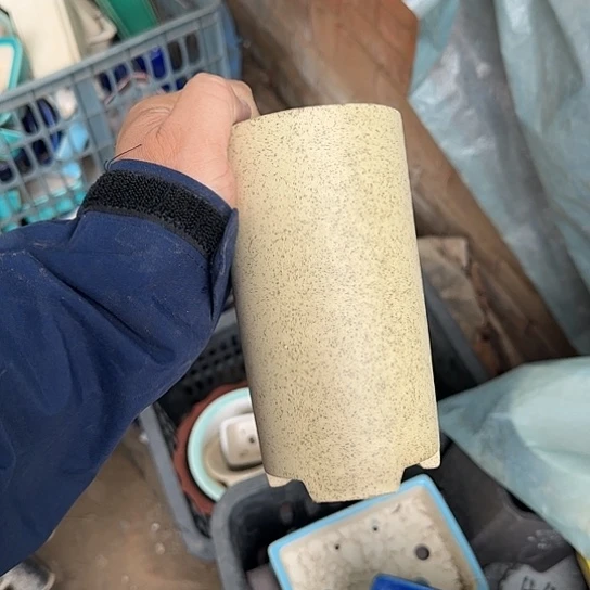 一哈来我这儿来玩我等我