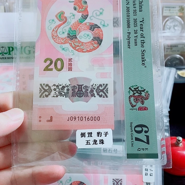 塑料倒置号 五龙珠 豹子号 前七旋转