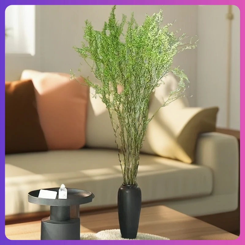 龙柳鲜枝插花客厅水培植物花卉吊钟鲜花四季好养活水养干枝支雪柳