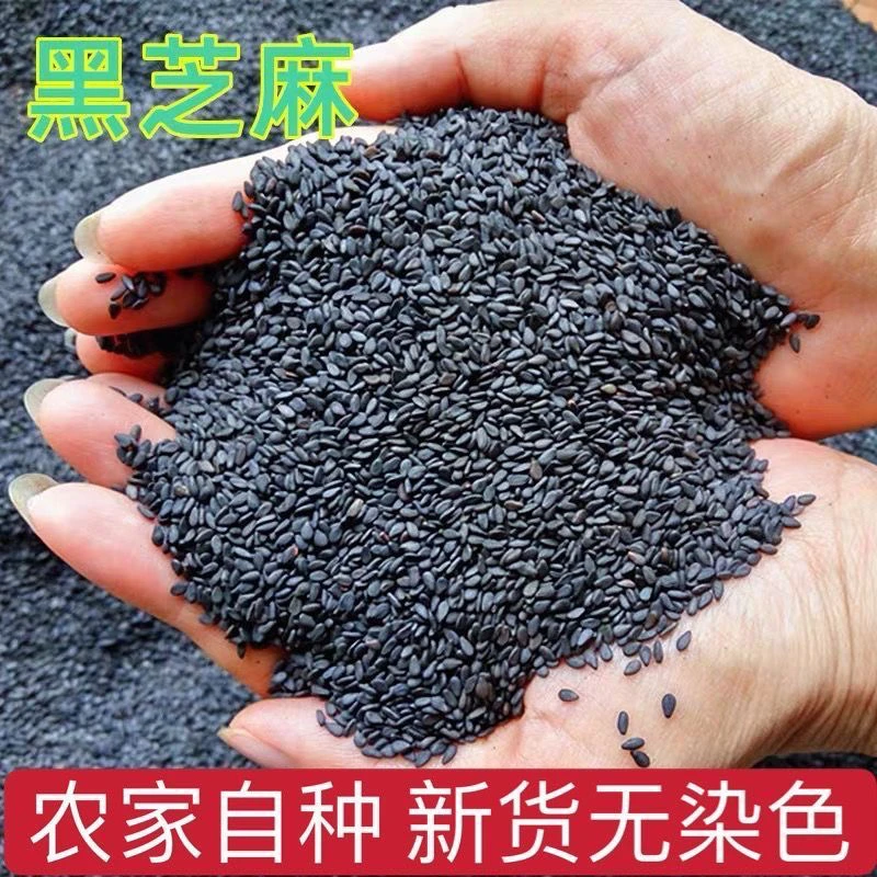 农家自种自打黑芝麻