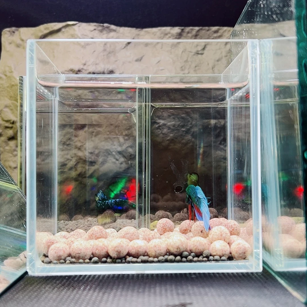 斗鱼精品精品精品精品