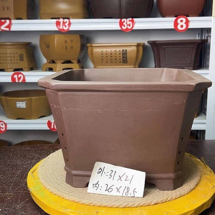 花盆紫砂你在一起