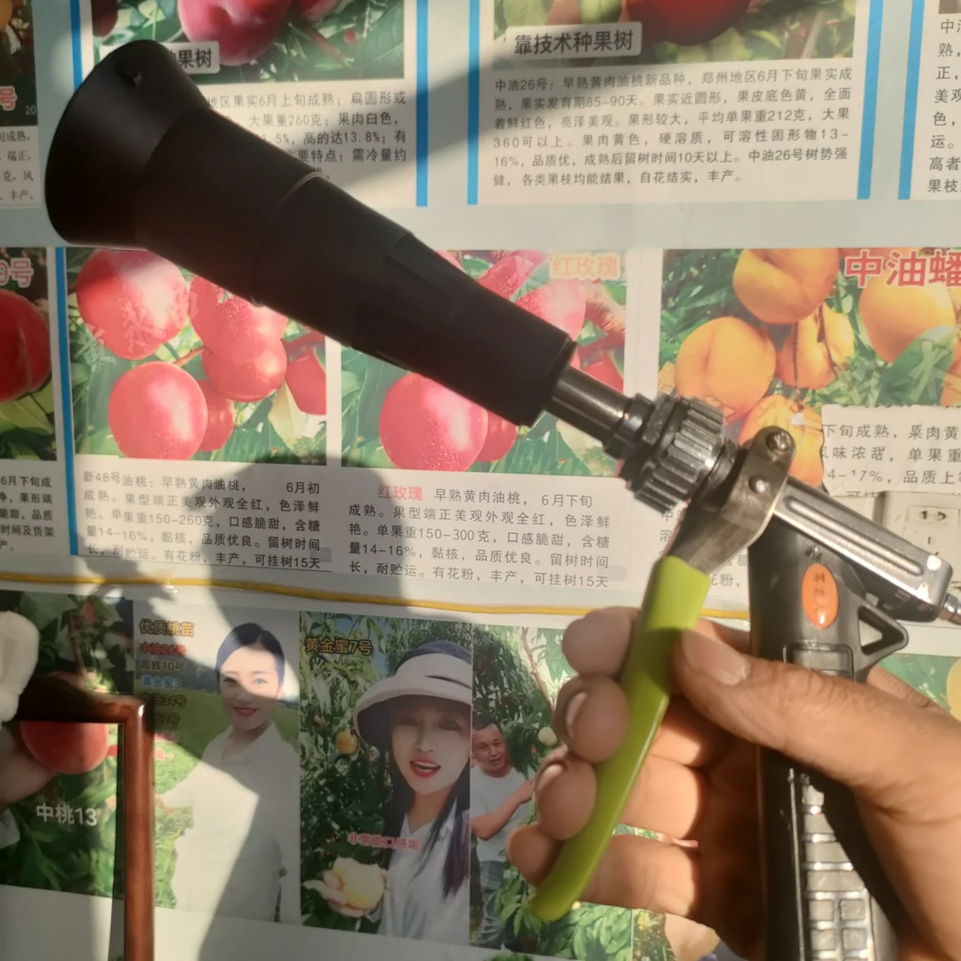 大嫂推荐(高压喷雾枪)