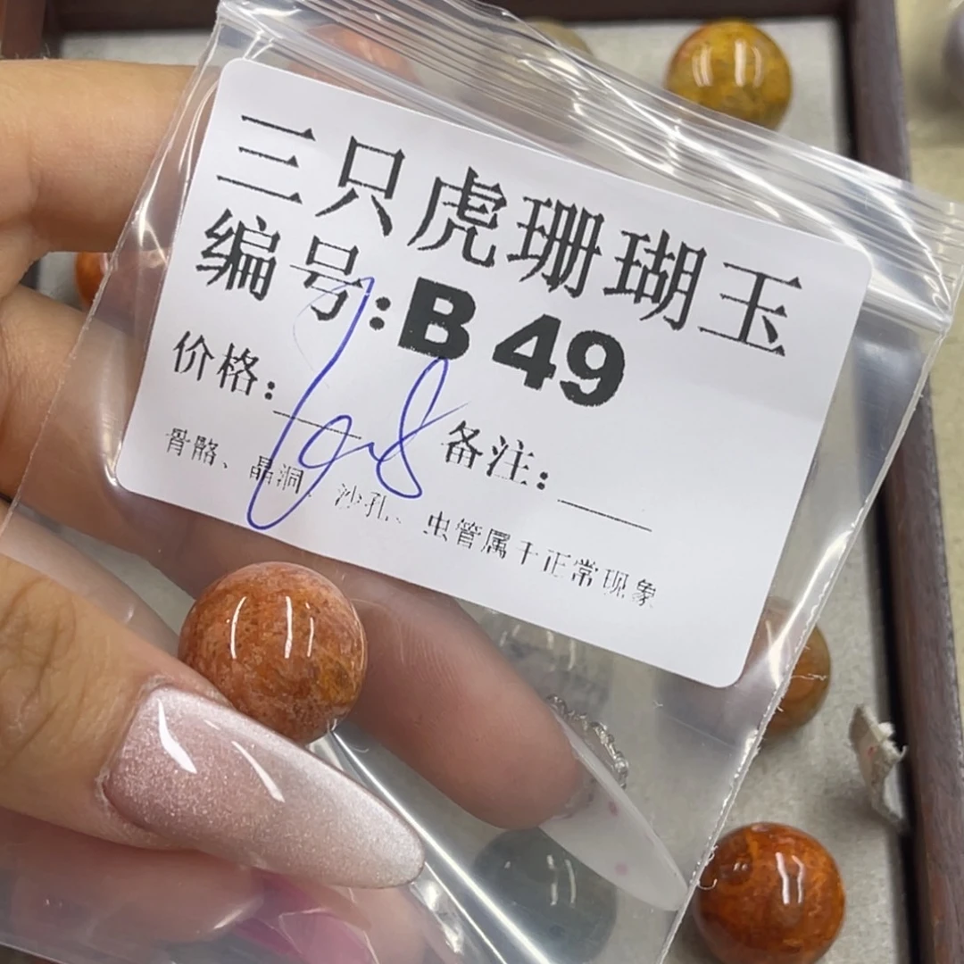 暴***走硅化珊瑚（珊瑚玉）h未镶嵌