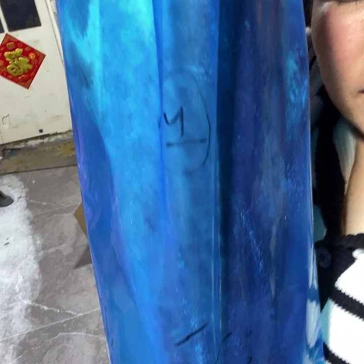 用***9中国大陆渤海湾野生燕鲅鱼21号