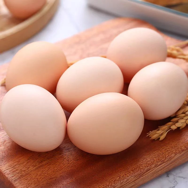 土地娃50枚正宗农家散养土鸡蛋新鲜谷物柴鸡蛋无菌蛋 TY