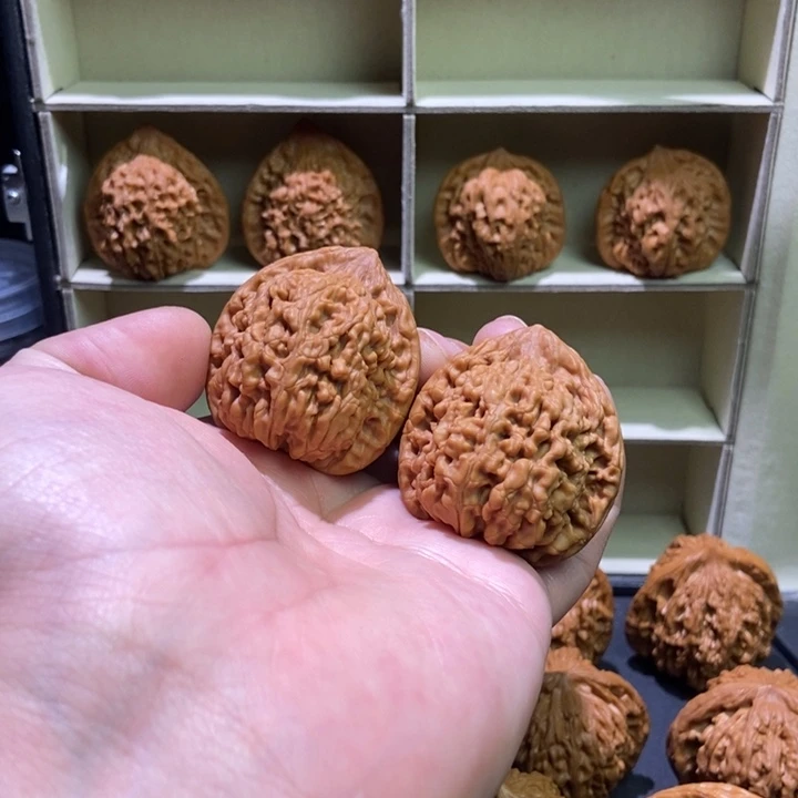 文玩核桃吊坠蚂蚁王40精