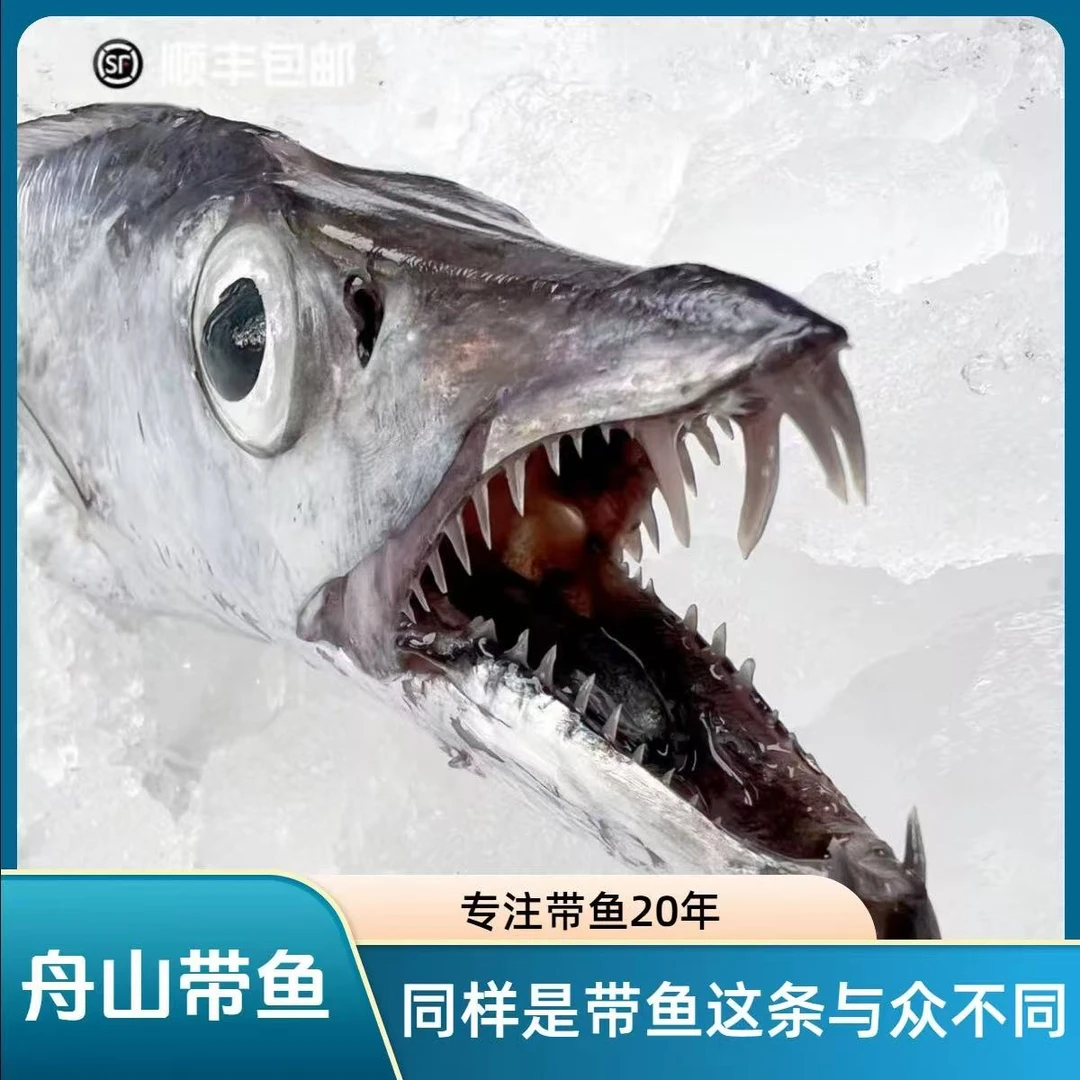 【甬上名灶】8两-1斤/条 舟山渔场东海新鲜 小眼睛带鱼整条顺丰包邮
