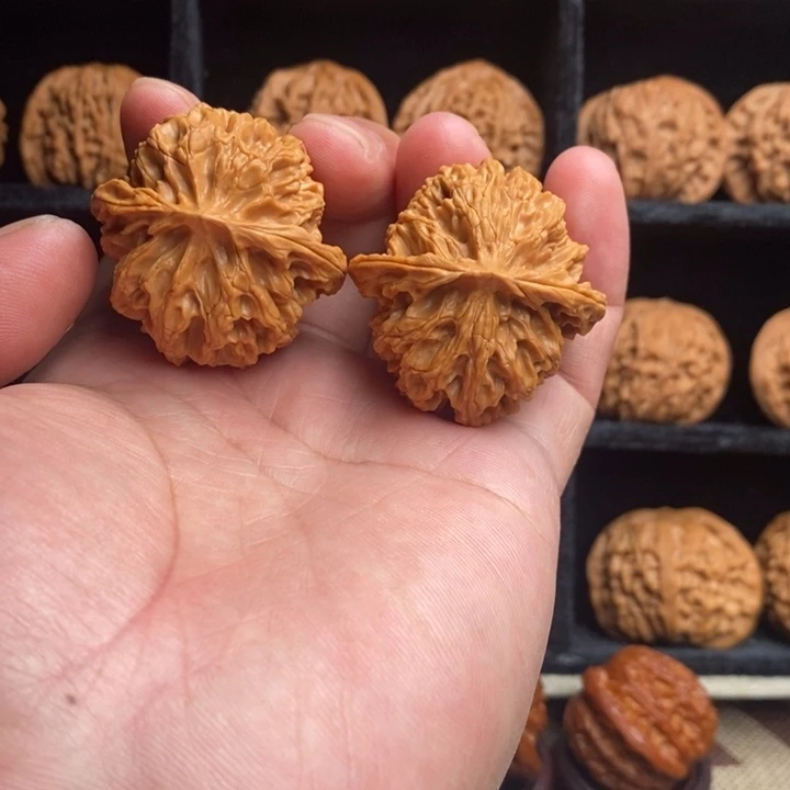 全品苹果园40尺寸