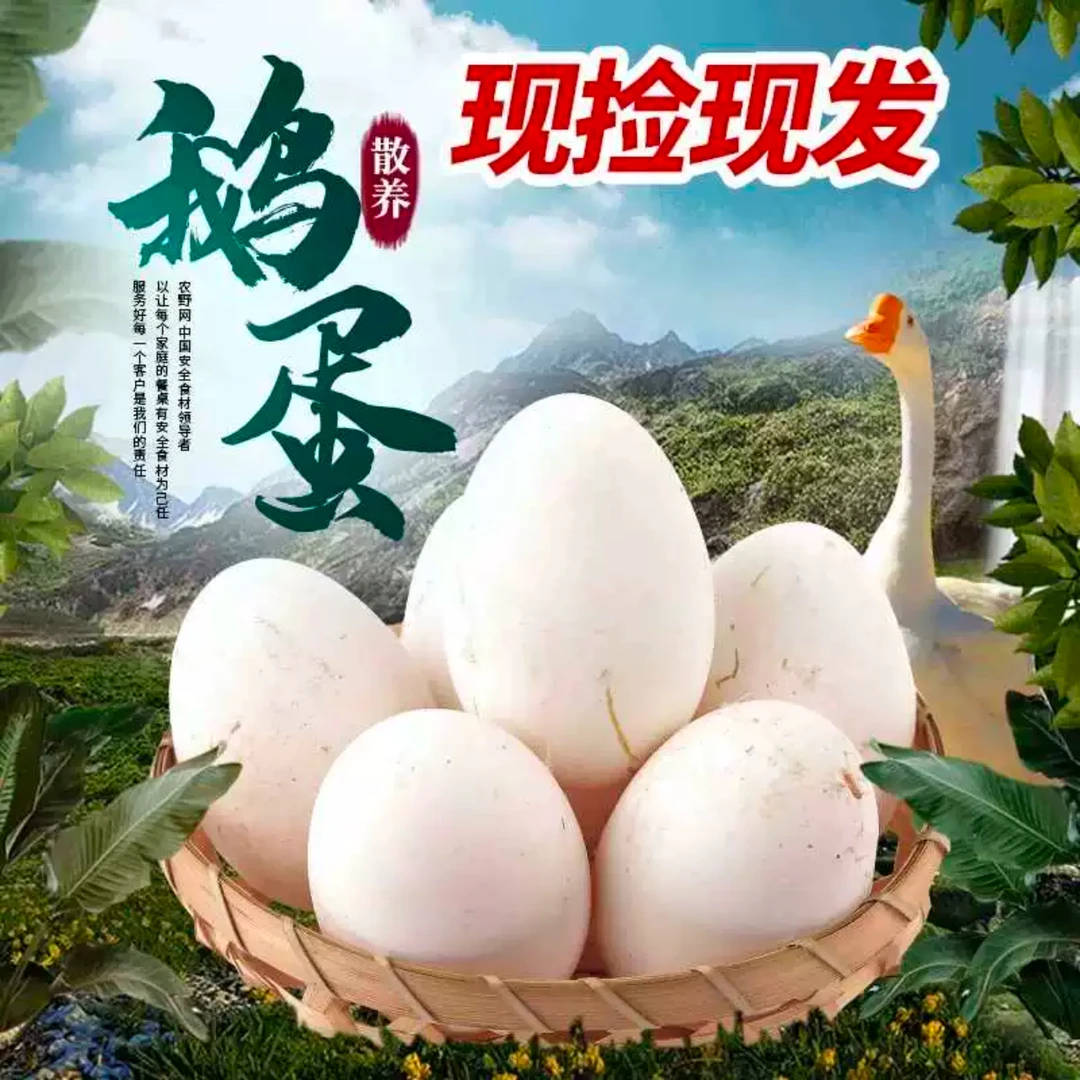 【五谷喂养】新鲜鹅蛋农家散养大个双黄蛋整箱批发孕妇宝宝营养鹅蛋