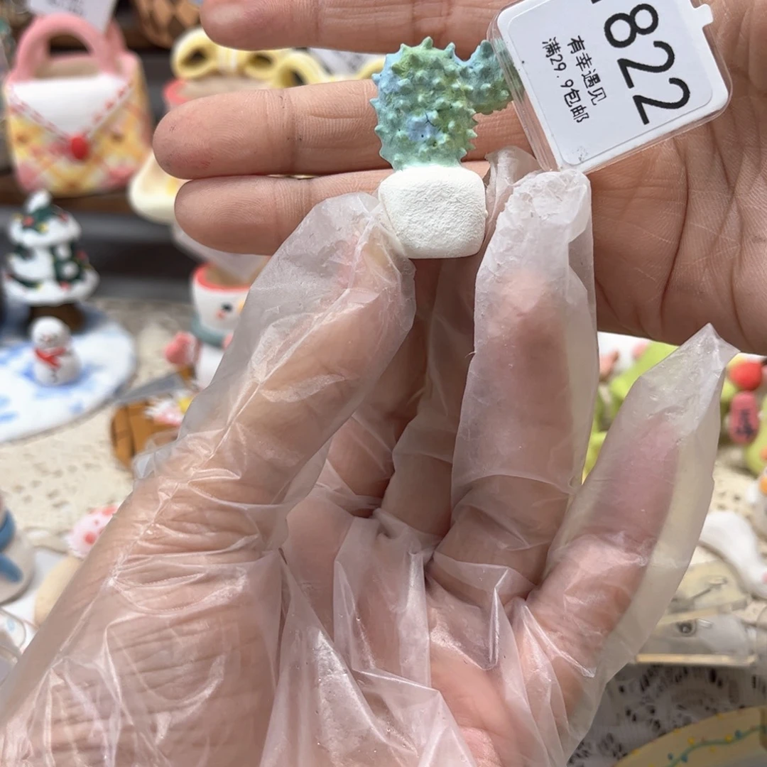 J***n822仙人掌摆件花盆手绘