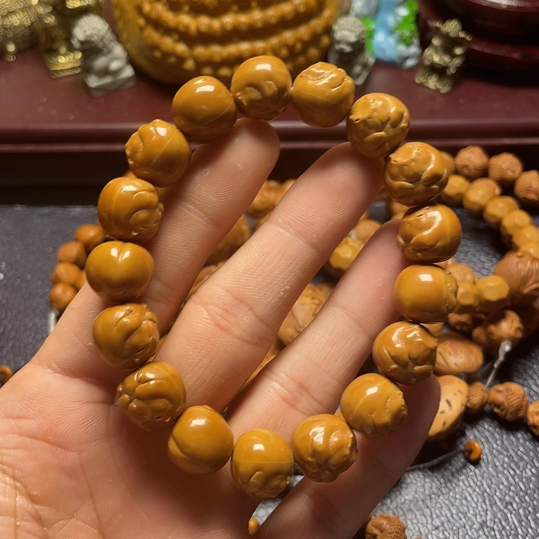 云蝉猴头，卡皮巴拉