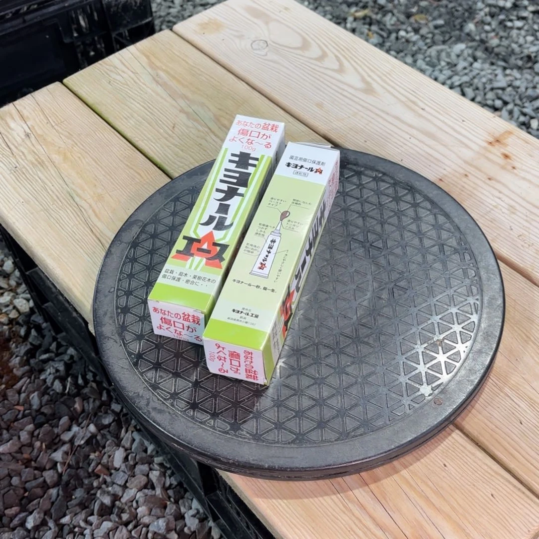 新年快乐两个愈合剂