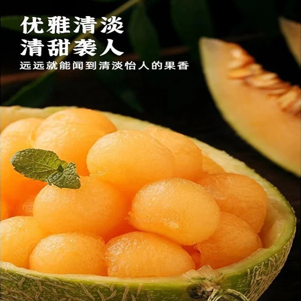 新疆伽师瓜86王脆甜爆汁坏果包赔京东空运[阿布都欣欣专属]