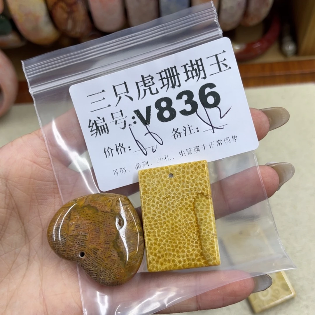 良***院硅化珊瑚（珊瑚玉）未镶嵌h