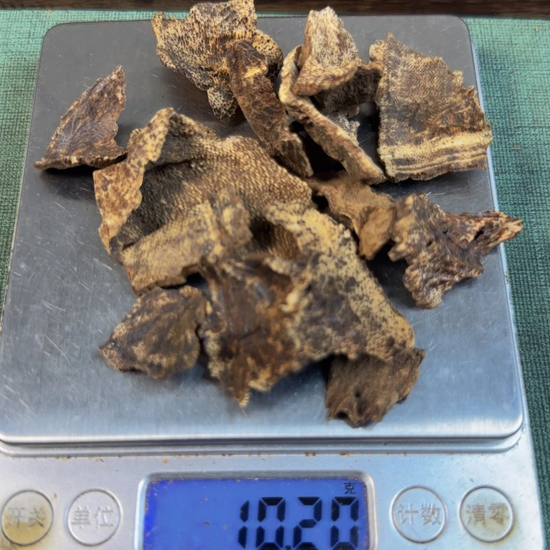 楠木海南壳子碎料10克