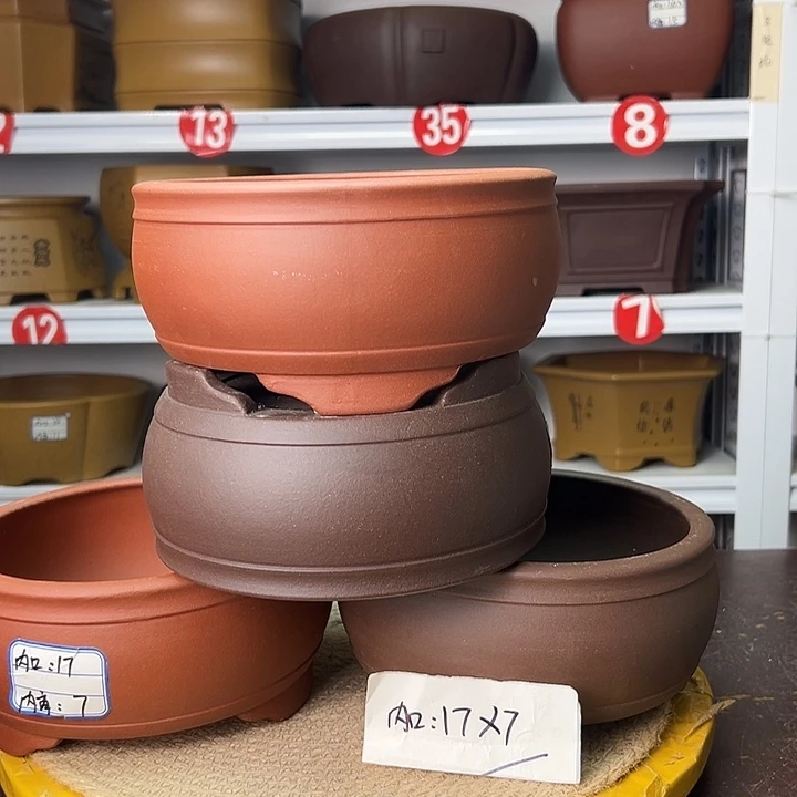 花盆紫砂你在一起