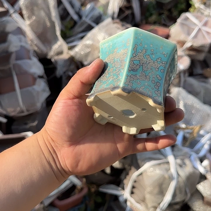 我不敢看电视我要把