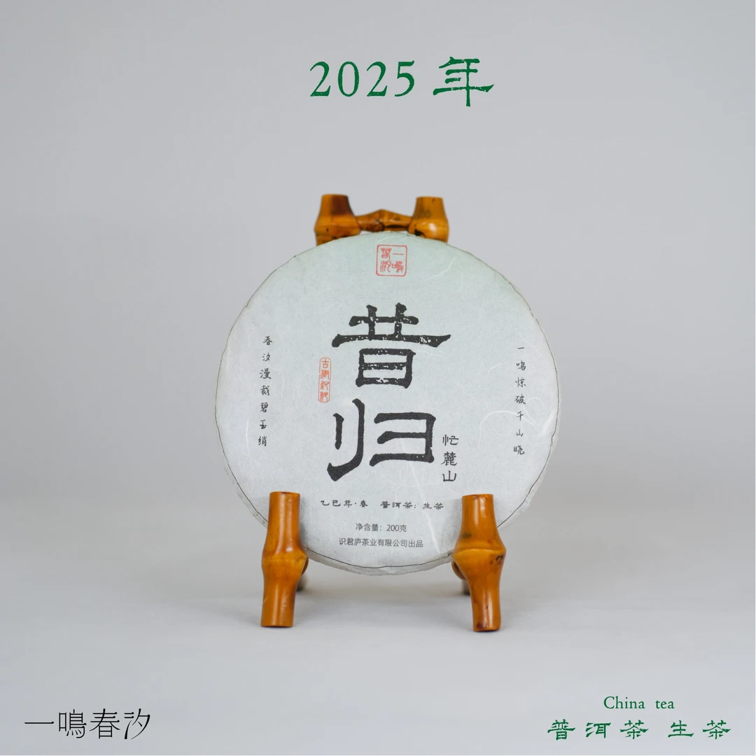 【昔归】忙麓山 2025·普洱生茶 一口一春 幽兰气 汤绵绸·爽口韵