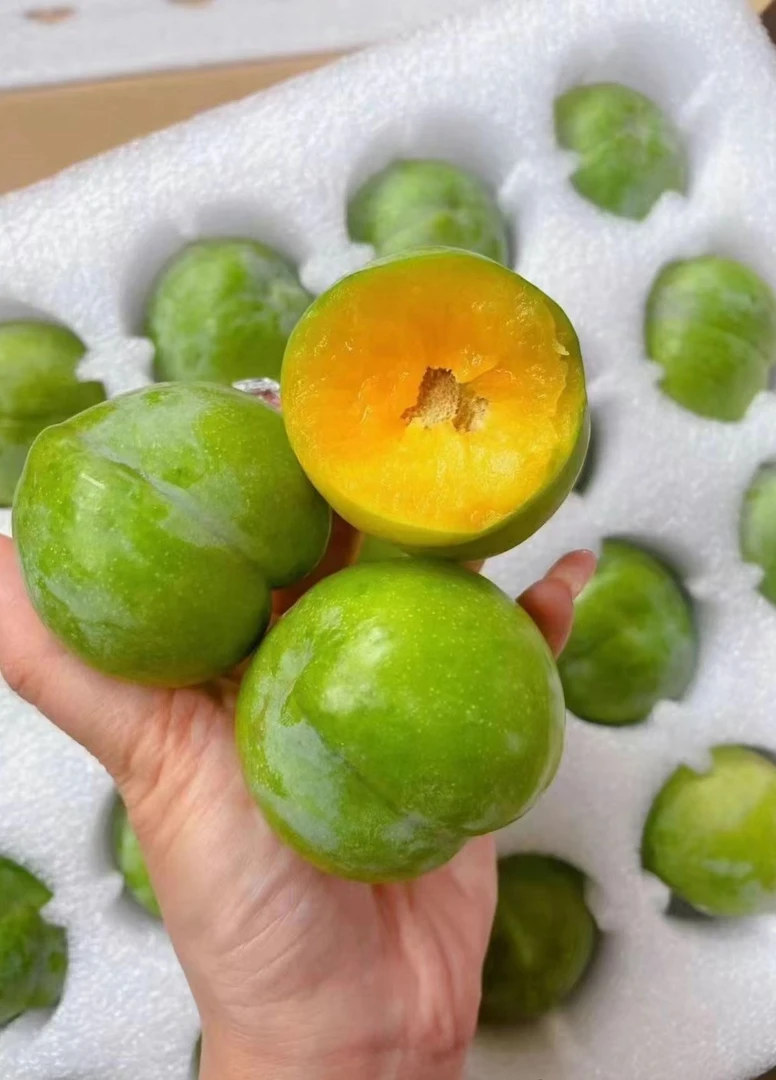 巫山脆李48枚/60枚青皮黄肉脆甜鲜果原产地发货