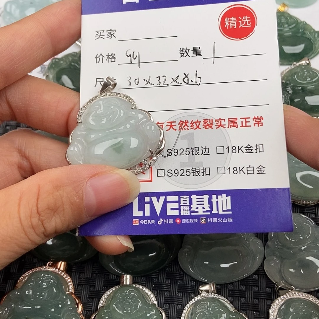 翡翠银S925镶嵌颈饰