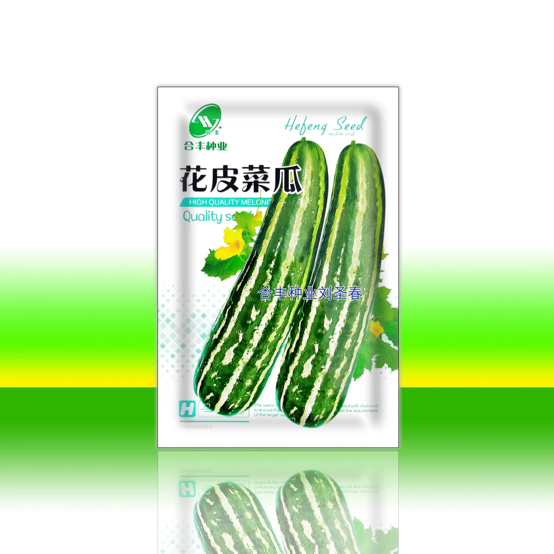 花皮菜瓜种子酱瓜专用品种凉拌炒食也可爬地种植吊蔓栽培均可